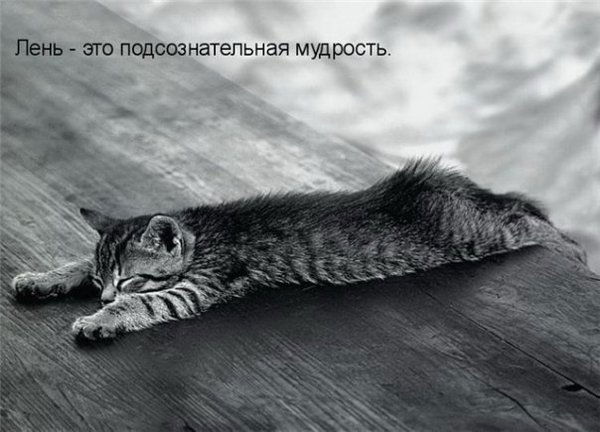 Екатерина Вавилова