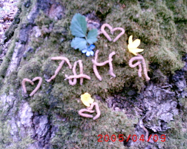 Татьяна Борздых