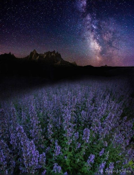 И Только Вперёд