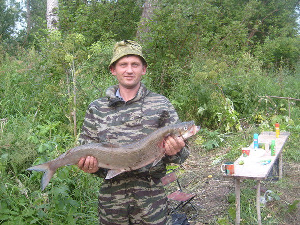 Александр Никитин