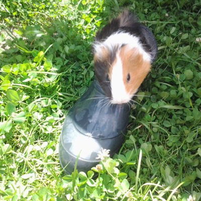 Катя Кощеева