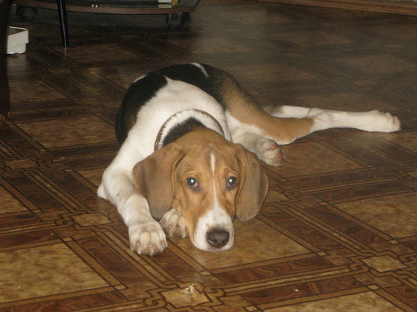 Антон Плеханов(Окоп)