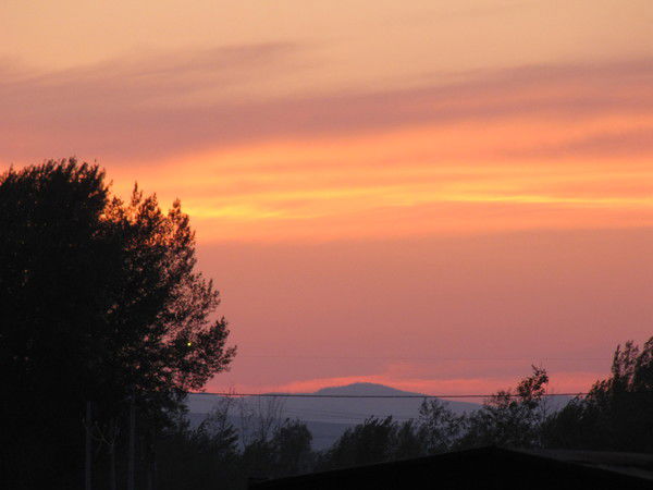 Валерий Новиков