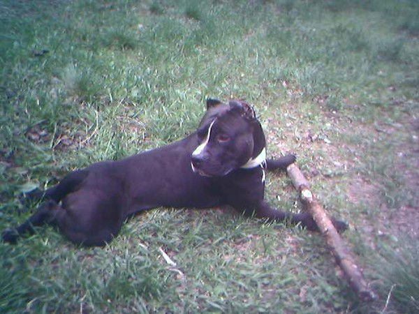 Ирина Новикова