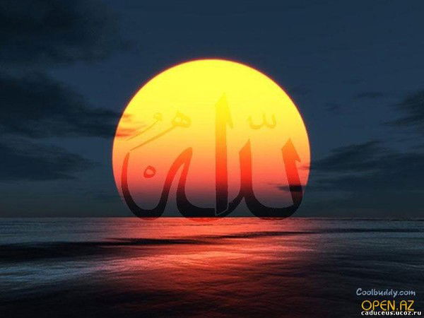 Ольга Леденева