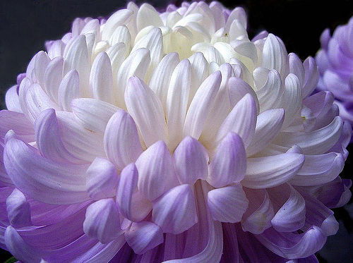 Люда Кузнецова