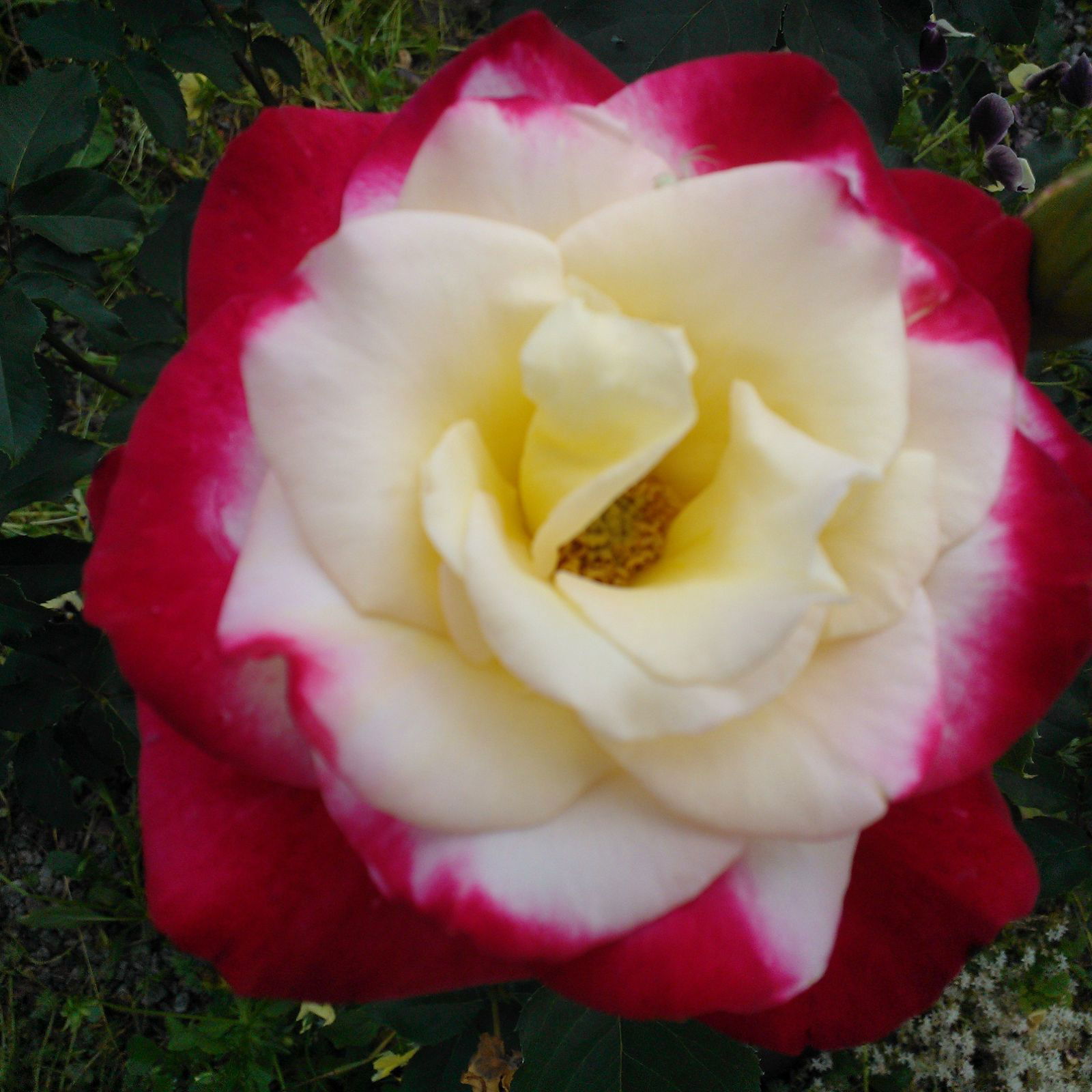 Татьяна Спиридонова