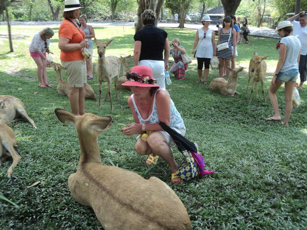 Светлана Третьякова