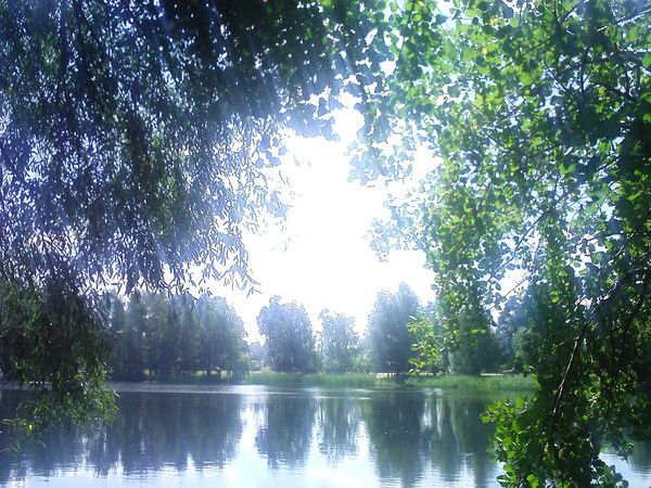 Любовь Попова