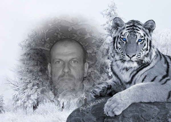 Андрей Седов