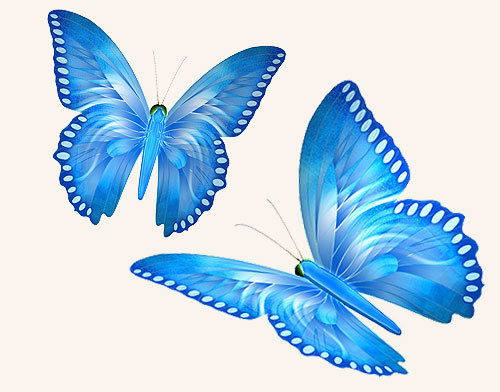 Ольга Фимушкина