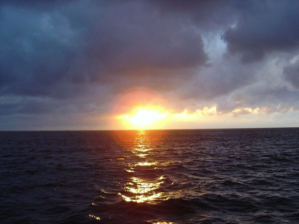 Наталья Пестерева