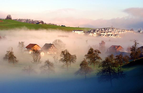 Владимир Вовин