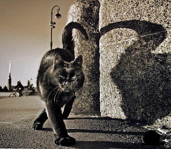 Сергей Мамичев