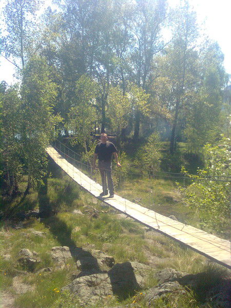 Дмитрий Любимцев