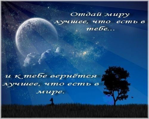 Міша Боднарчук