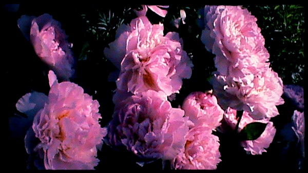 Татьяна Голубева