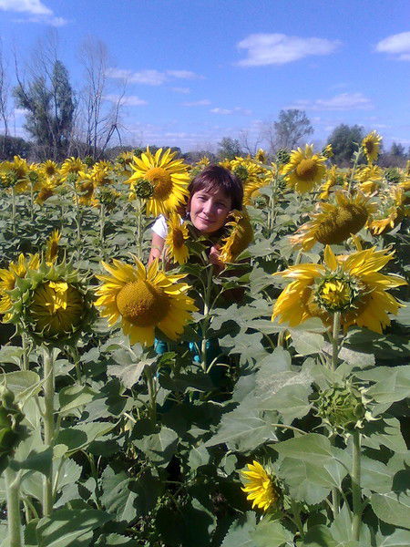 Неизвестно Неизвестно