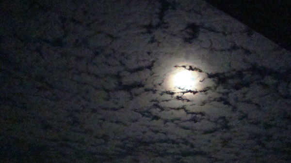 Анатолий Ковалевский