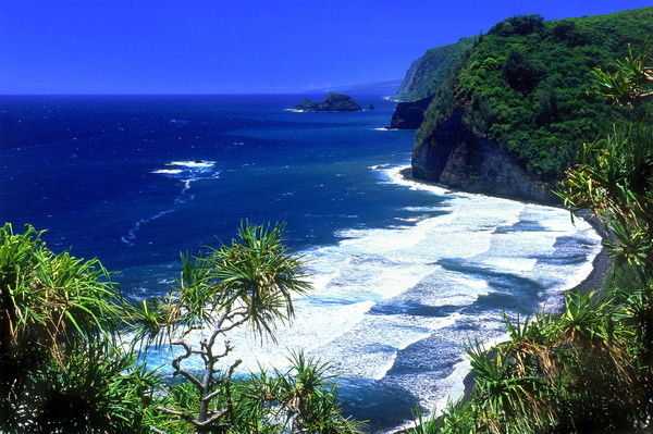 Андрей Ильин