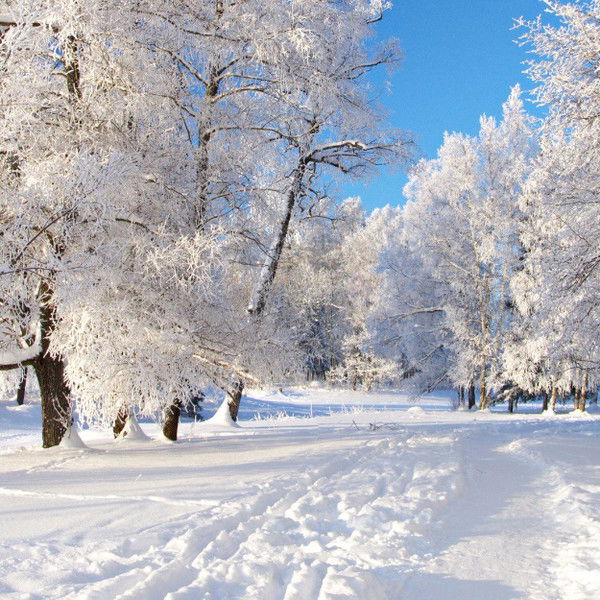 Виктория Пасаман