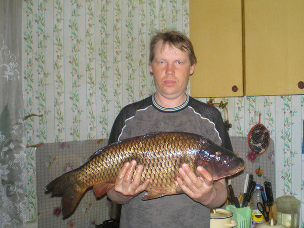 Анатолий Кочупалов