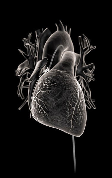 Зко Окц Кардиореанимация