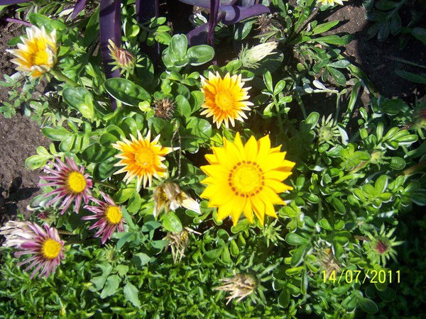 Ирина Батуева