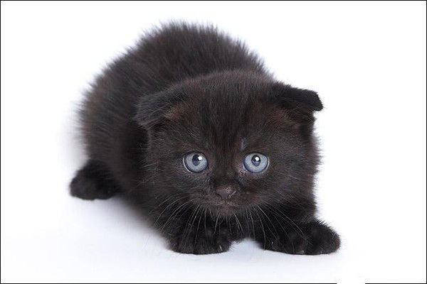 Камилла Эрматова