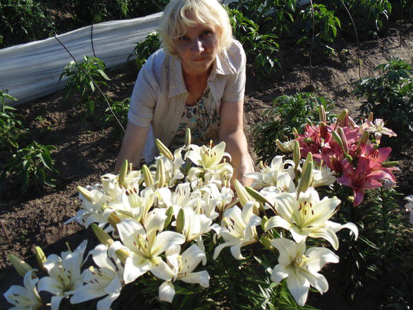 Ольга Пилецкая