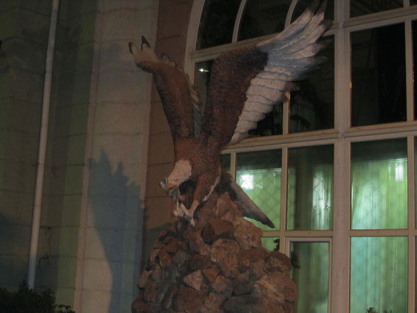 Алёна Елизова