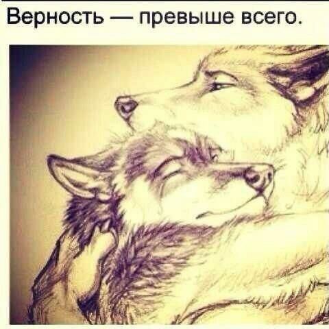 Султан Суюнов