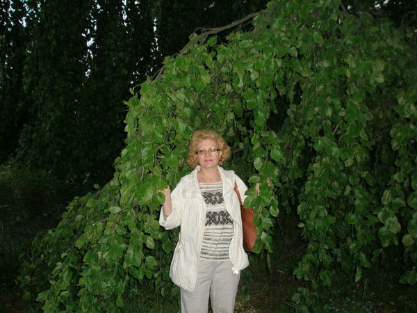 Елена Кононова