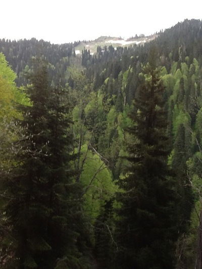 Ирина Бордюг