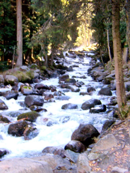 Анна Боглевская