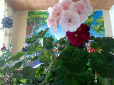 Зинаида Талканбаева