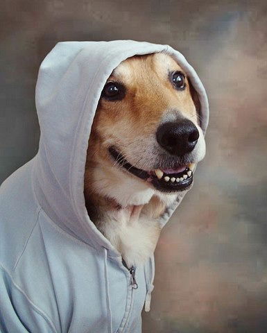 Юрий Дорошенко