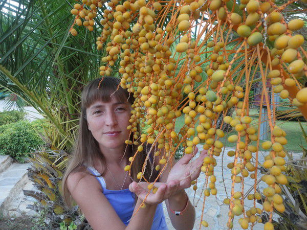 Ирина Ерина