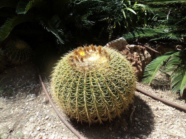 Татьяна Панюшкина