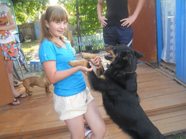 ***яжевика ***