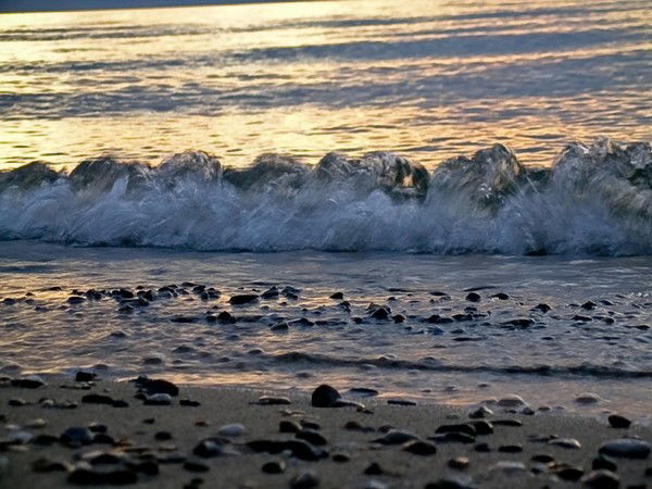 Роман Новопашин