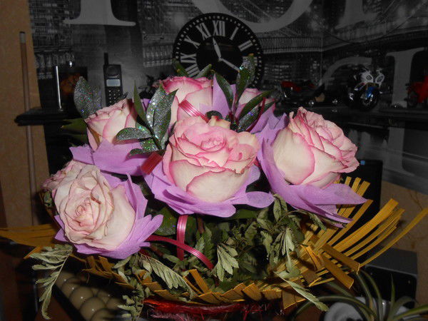 Ольга Ананьева