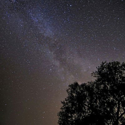 Дарья Атапина