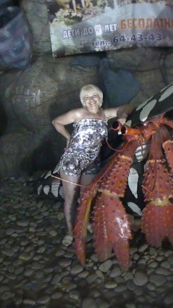 Елена Свиридова