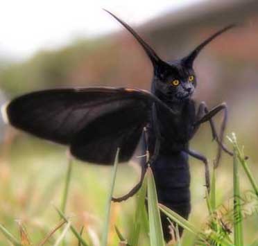 Варвара Хасанова