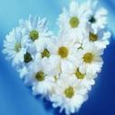 Миляуша Галиуллина