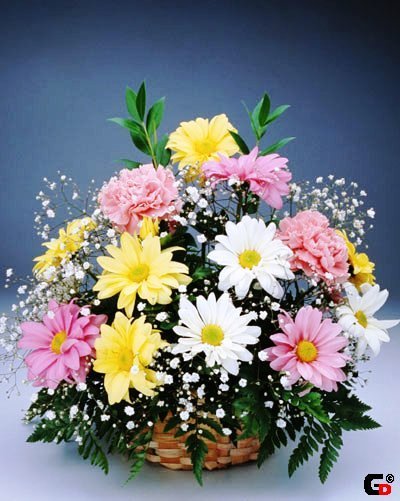 Ултусын Адильбекова