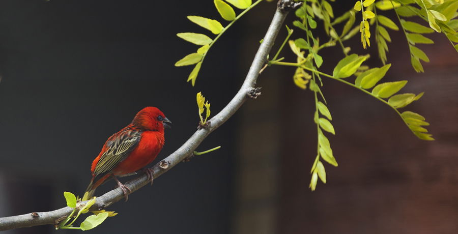 Городская Инспекция