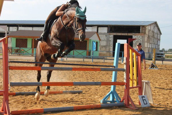 Светлана Гайкевич
