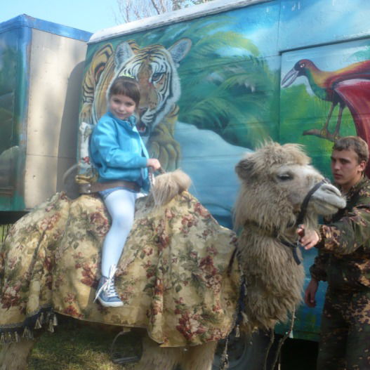 Вика Драздова